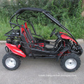 2 Seat Gas Mini Buggy for Kids